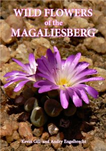 magalieswildflowerscover recommended by Leaping Giants